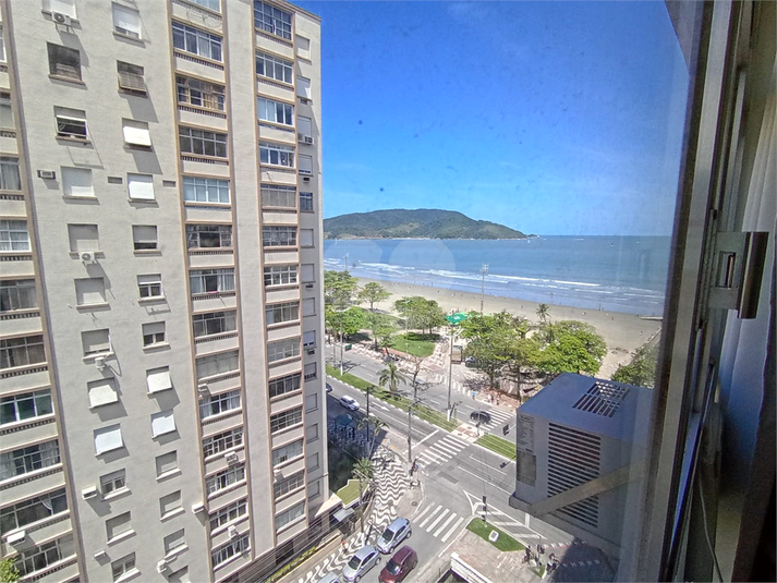 Foto REO1129849