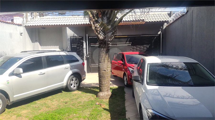 Foto REO1129860