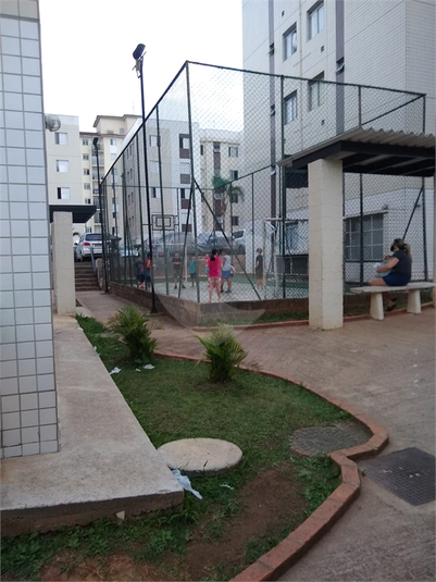 Foto REO1129867