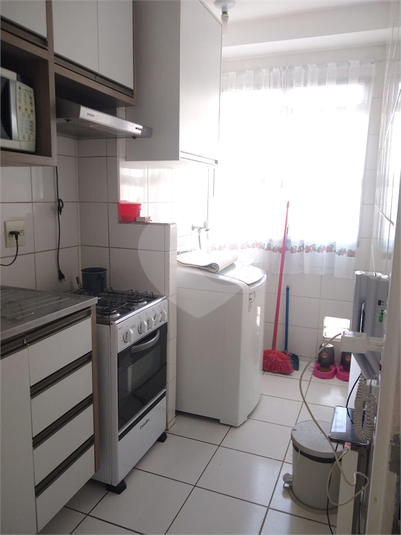 Foto REO1129867