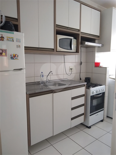 Foto REO1129867