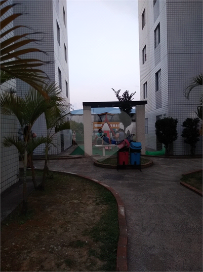 Foto REO1129867