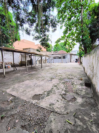 Foto REO1129869