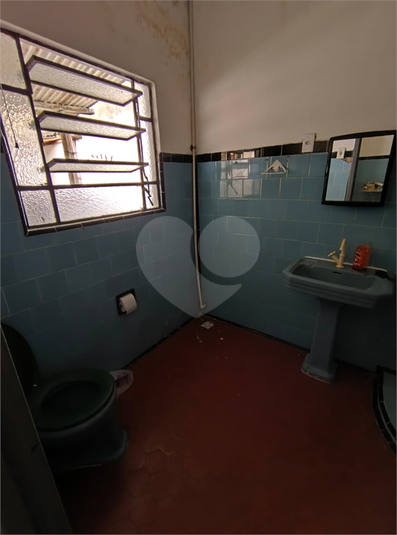 Foto REO1129869