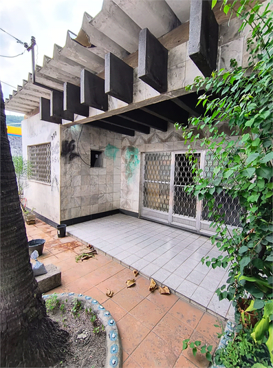 Foto REO1129869