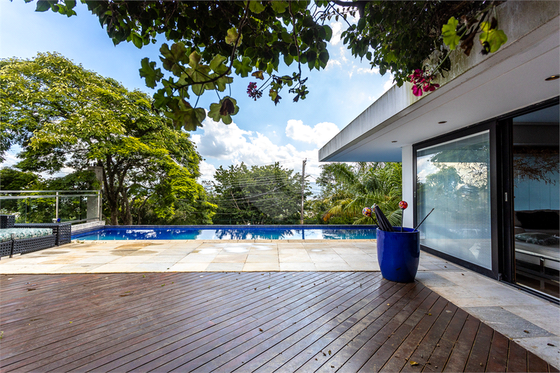 Foto REO1129873
