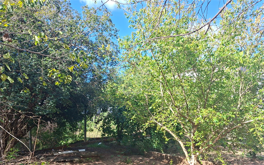 Foto REO1129882