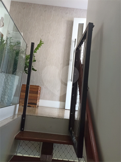 Foto REO1129883