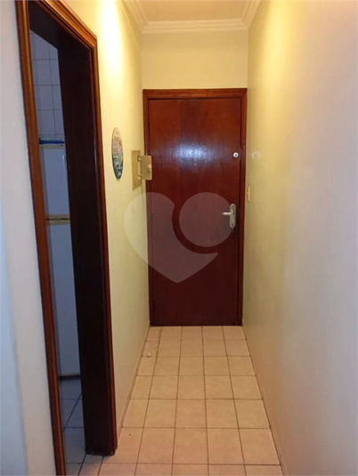 Foto REO1129897