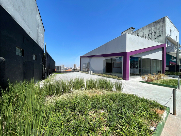 Foto REO1129907