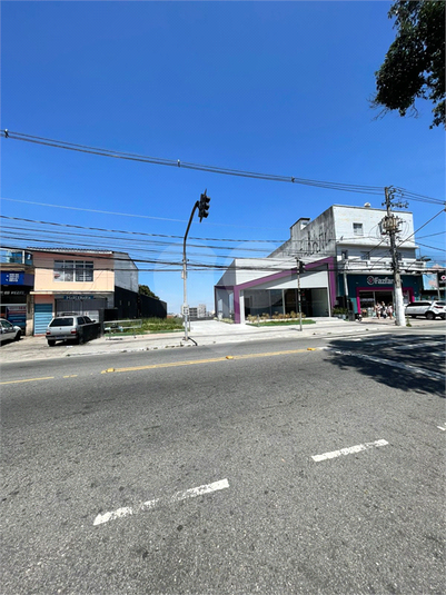 Foto REO1129907