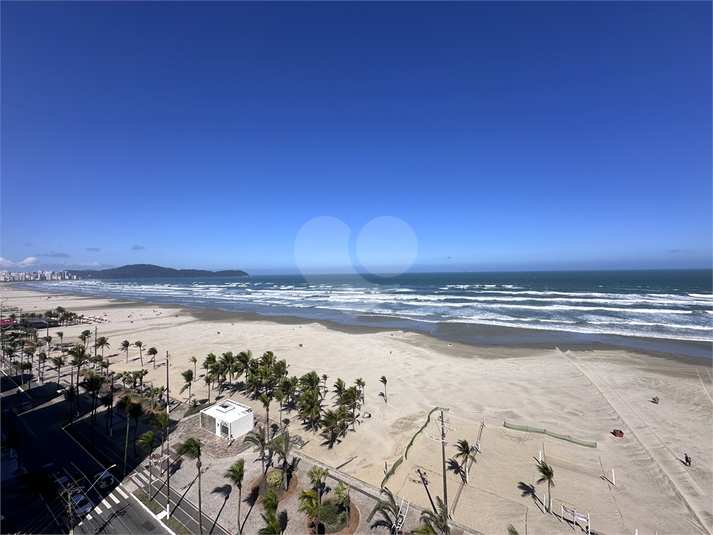 Foto REO1129910