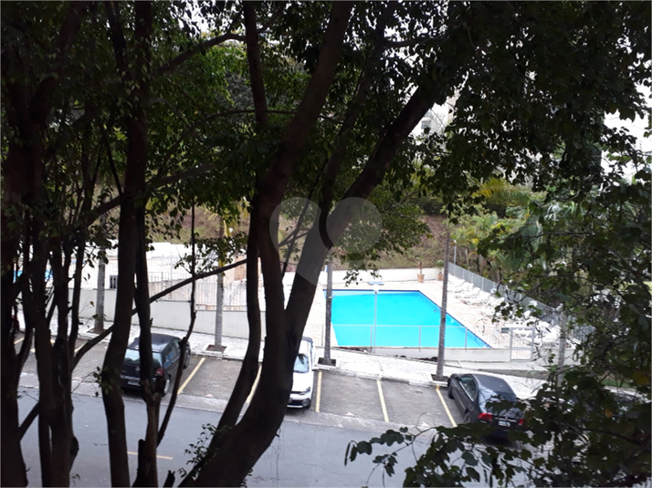 Foto REO1129917