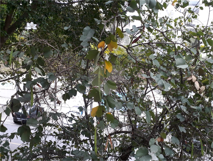 Foto REO1129917