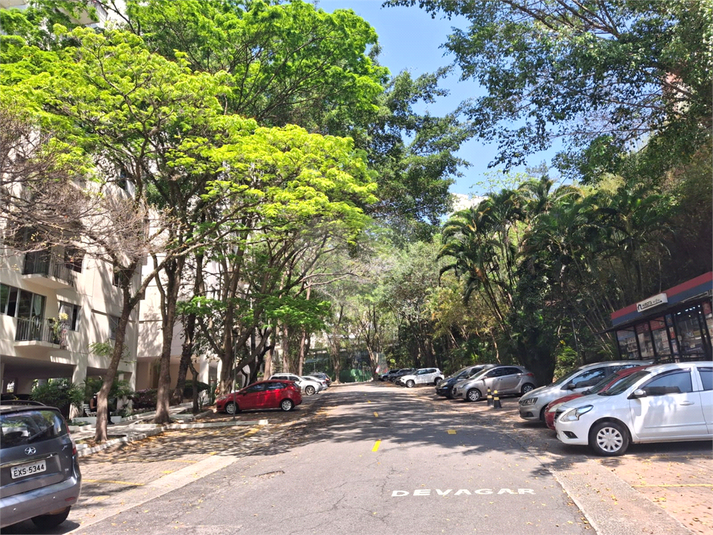 Foto REO1129917