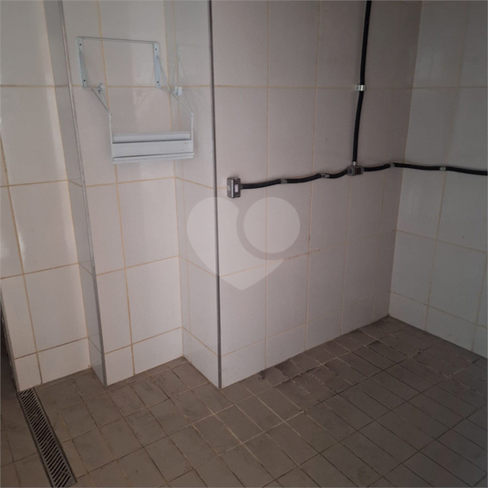 Foto REO1129932
