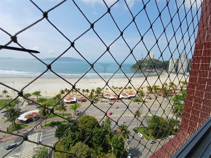Foto REO1129942