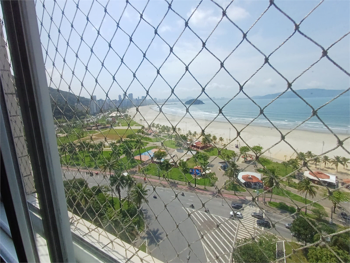Foto REO1129942