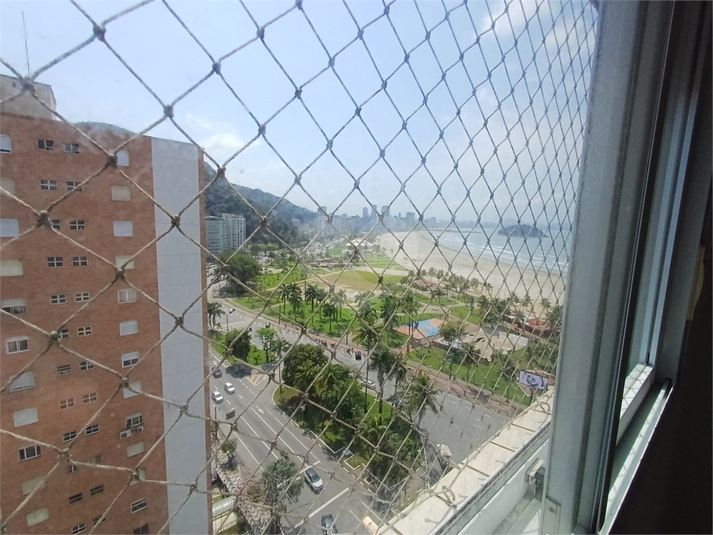 Foto REO1129942