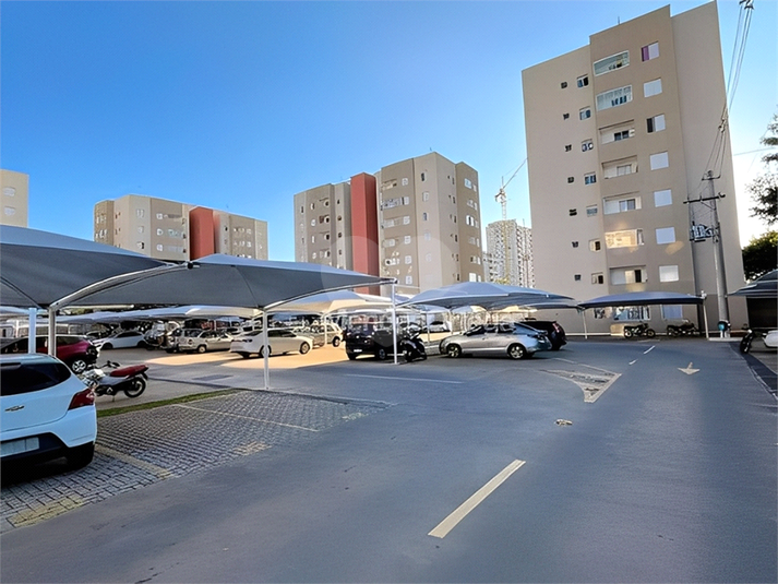 Foto REO1129949