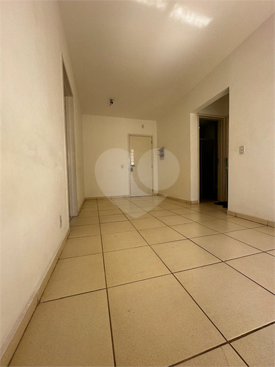 Foto REO1129949