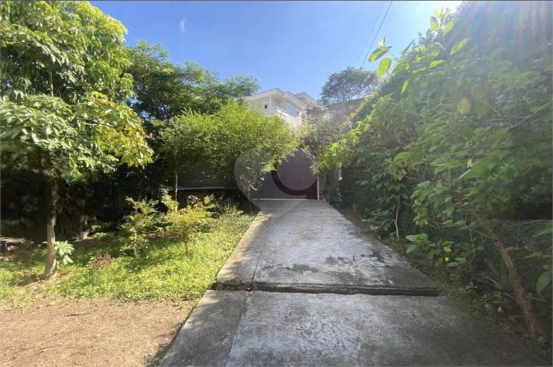 Foto REO1129957
