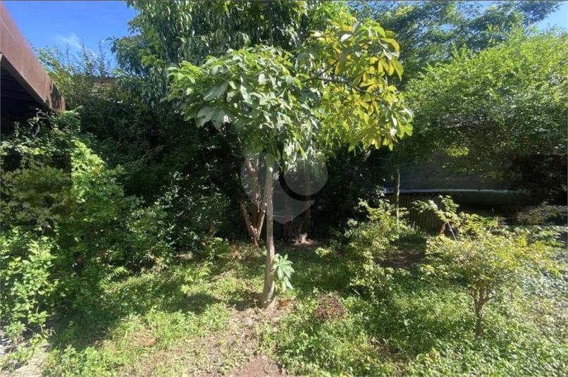 Foto REO1129957