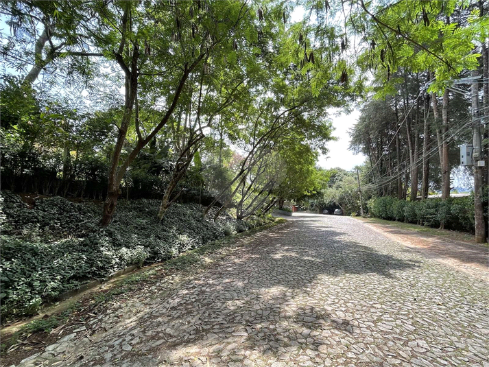Foto REO1129968
