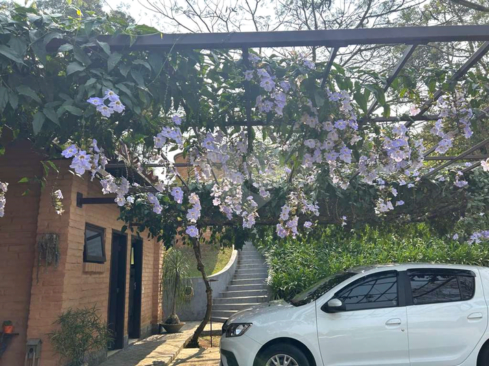 Foto REO1129968