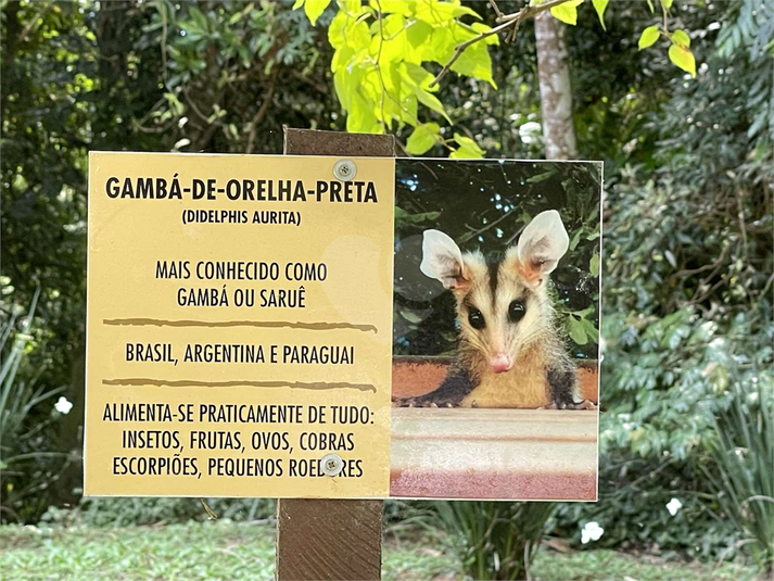 Foto REO1129968