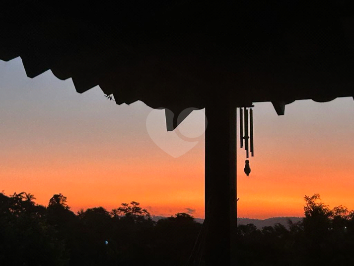 Foto REO1129968
