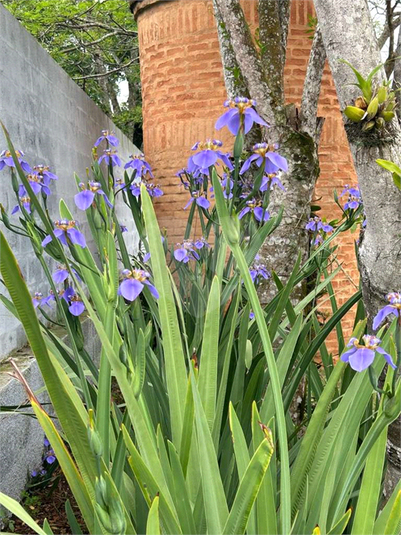 Foto REO1129968