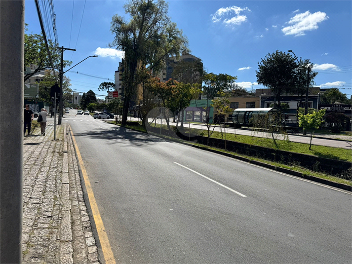 Foto REO1129969