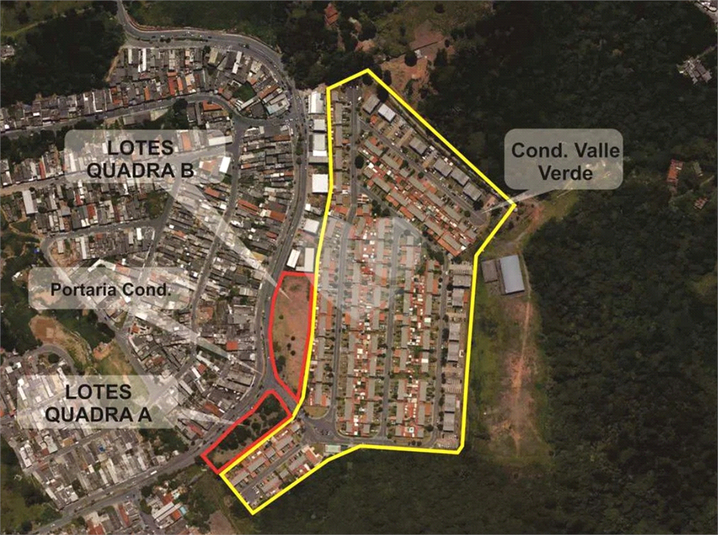 Foto REO1129971