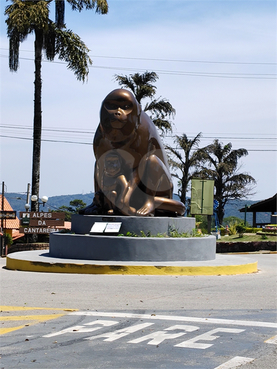 Foto REO1129973