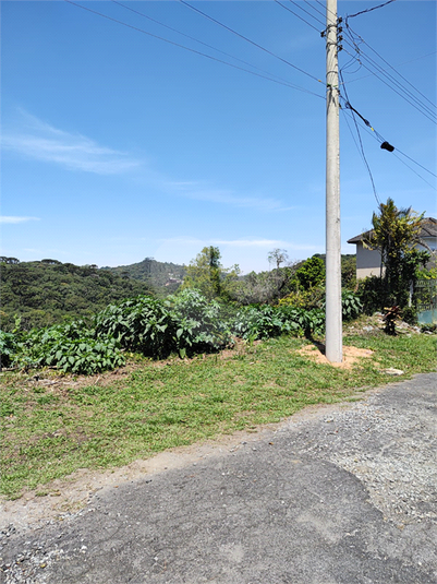 Foto REO1129973