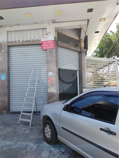 Foto REO1129978