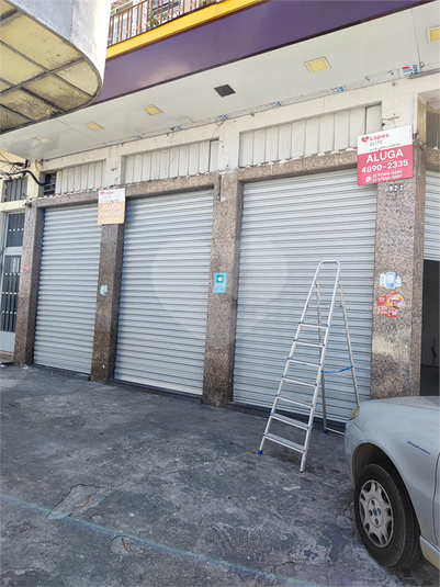 Foto REO1129978