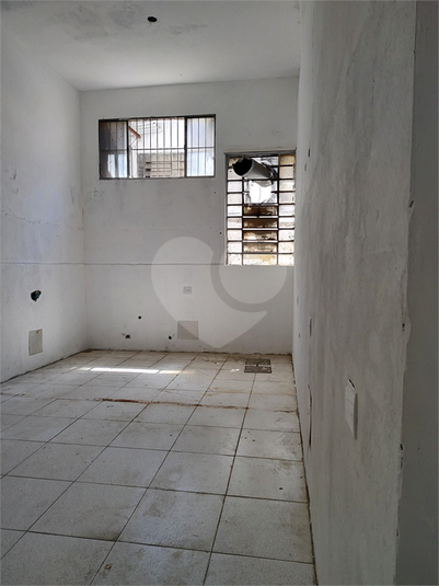 Foto REO1129978