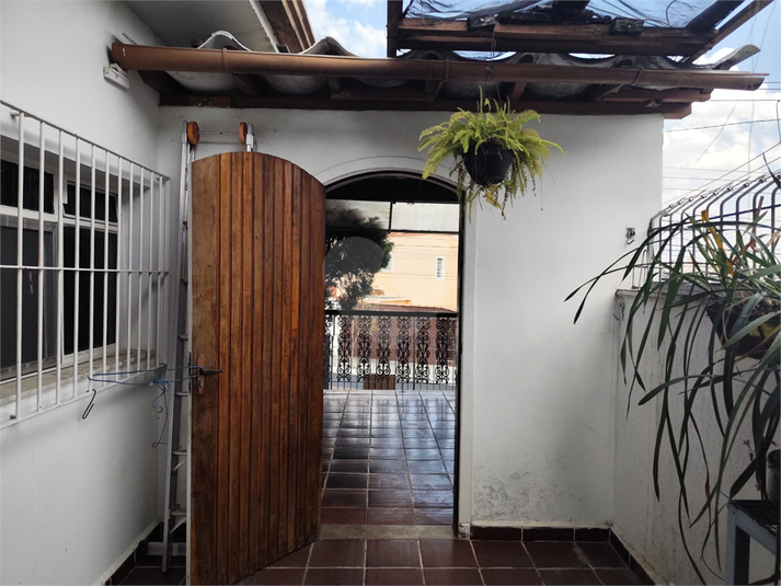 Foto REO1130007