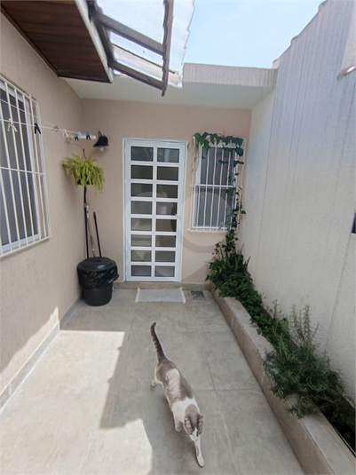 Foto REO1130010