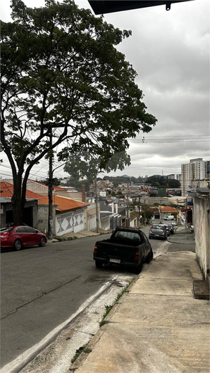 Foto REO1130042