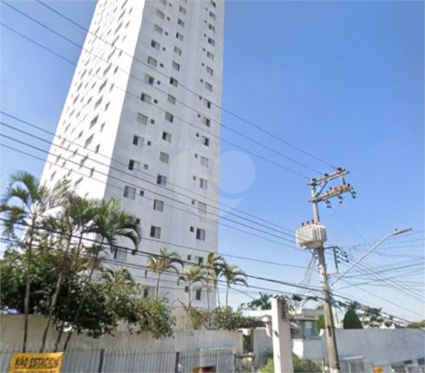Foto REO1130055