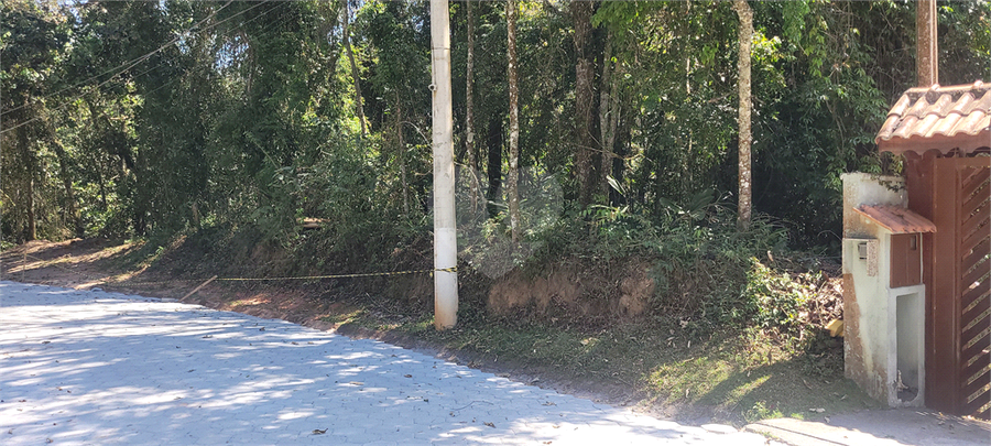 Foto REO1130064