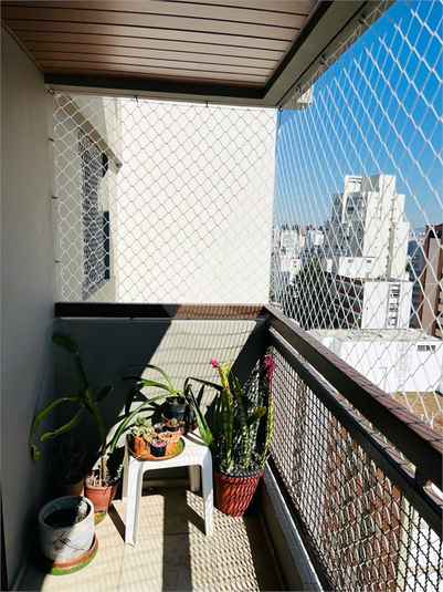 Foto REO1130065