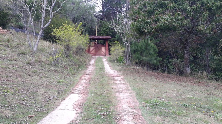Foto REO1130069