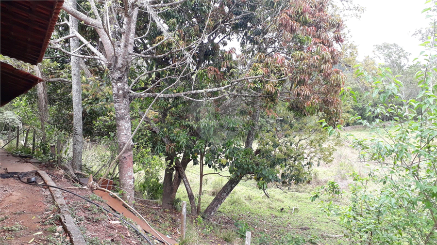 Foto REO1130069