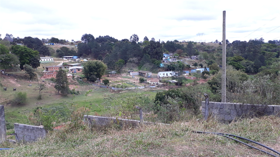 Foto REO1130069