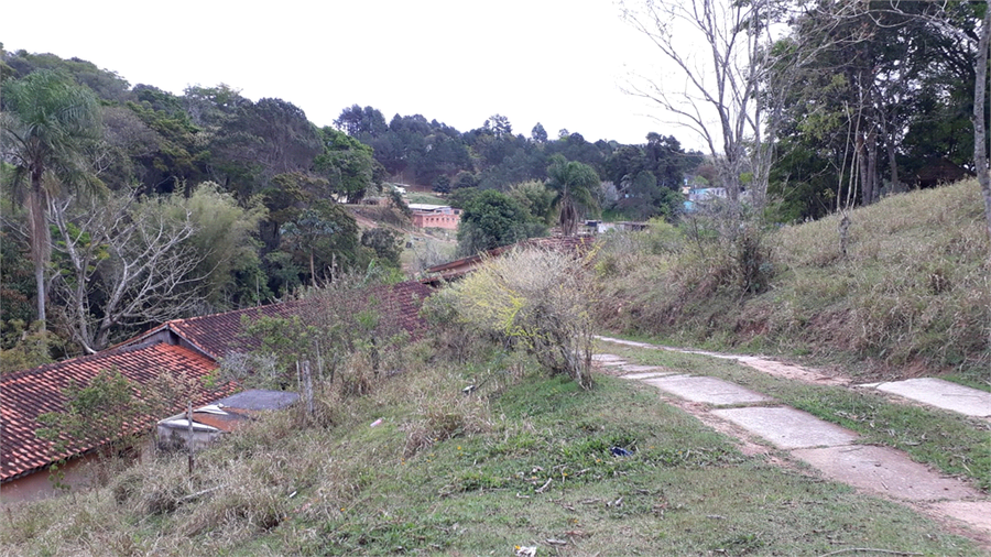 Foto REO1130069