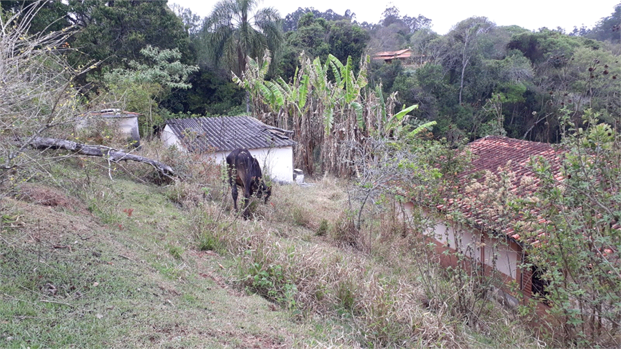 Foto REO1130069